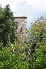 Corse 34