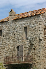 Corse 35