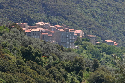 Corse 37