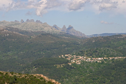 Corse 41