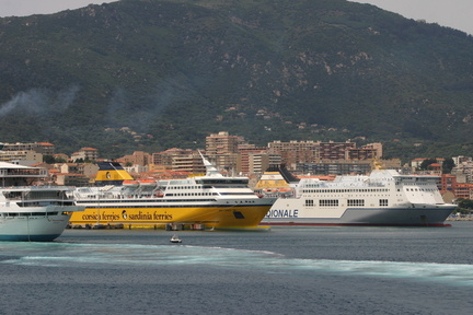 Corse 43
