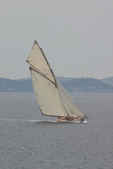 Corse 44