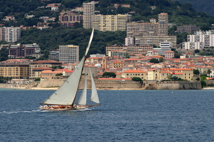 Corse 45
