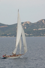 Corse 46