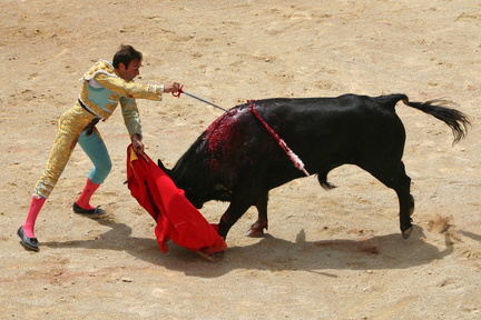 Feria De Nimes 18