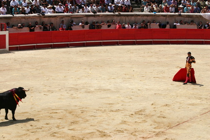 Feria De Nimes 24