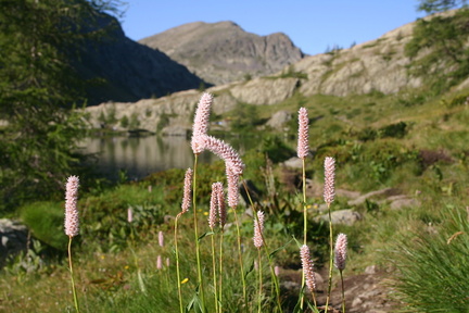 Lacs De Vens 04