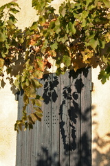 Luberon 36