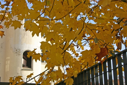 Lyon 02