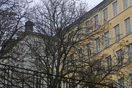 Lyon 05