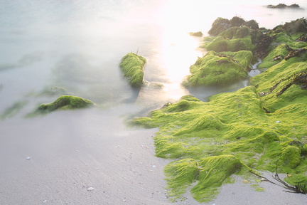 Bretagne 232